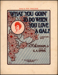 What you goin' to do when you love a gal? : a darktown wail by George A. Spink