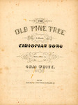 The Old Pine Tree by Charles White