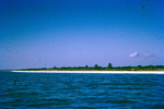 East Cape Sable, Monroe County, Florida by Audubon Florida