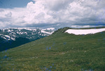 Above Timberline Rocky Mountain National Park Aug 1957