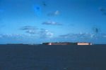 Fort Jefferson And Bush Key Late Afternoon Dry Tortugas Oct 1956