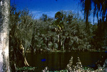 Parade Point Fisheating Creek Glades County Florida Jan 1955