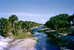 Harney Pond Canal Brighton Indian Reservation Glades County Florida March 1955