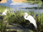 Great Egret, Painting by Audubon Florida