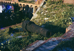 Parrot Rifle Fort Jefferson Dry Tortugas Oct 1956