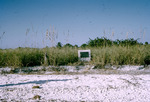 Guy Bradley's Grave East Cape Sable Florida Jan 1955