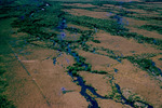 Rookery Branch Shark River Everglades National Park Florida April 1960