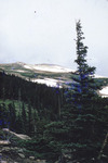 Rocky Mountain National Park Trail To Longs Peak Aug 1957