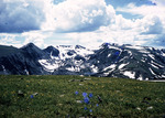Rocky Mountain National Park From Trail Ridge Road Aug 1957