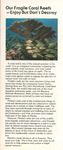 Coral Reefs, Florida, Marine Science, Marine Ecology, Wildlife Conservation, Florida Keys, John Pennekamp State Park, Marine Conservation, Marine Sanctuary by National Oceanic and Atmospheric Administration, U.S. Department of Commerce