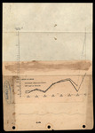 Chart, Number of Nests, 1934-1941 by Robert Porter Allen