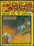 Tornado Bess, the kidnapper, or, The outlaws of Rabbit Island by Spencer Dair