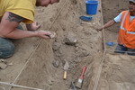 Excavation of Camelid Remains