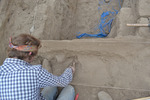 Excavation of Camelid Bones