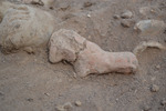 Close-up of Figurine Offering