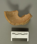 Huaca Soto Ceramic Fragment