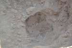 Rasgo 3 Excavated