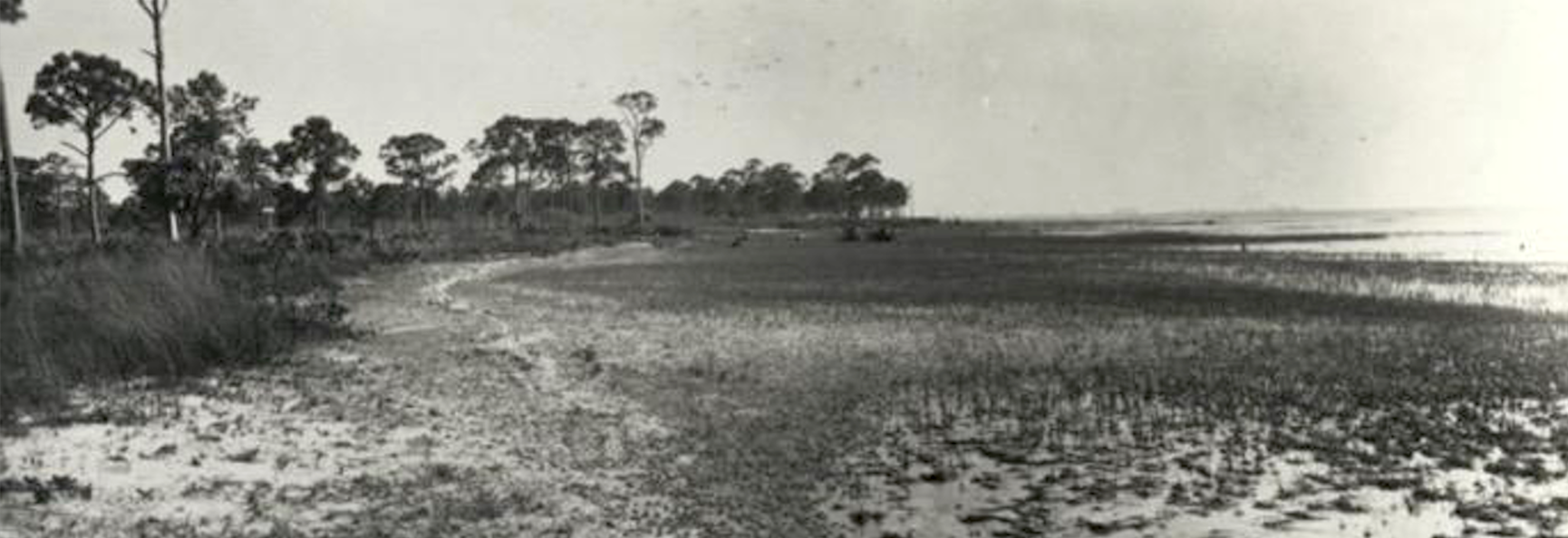 Hampton Dunn Collection - Photographs