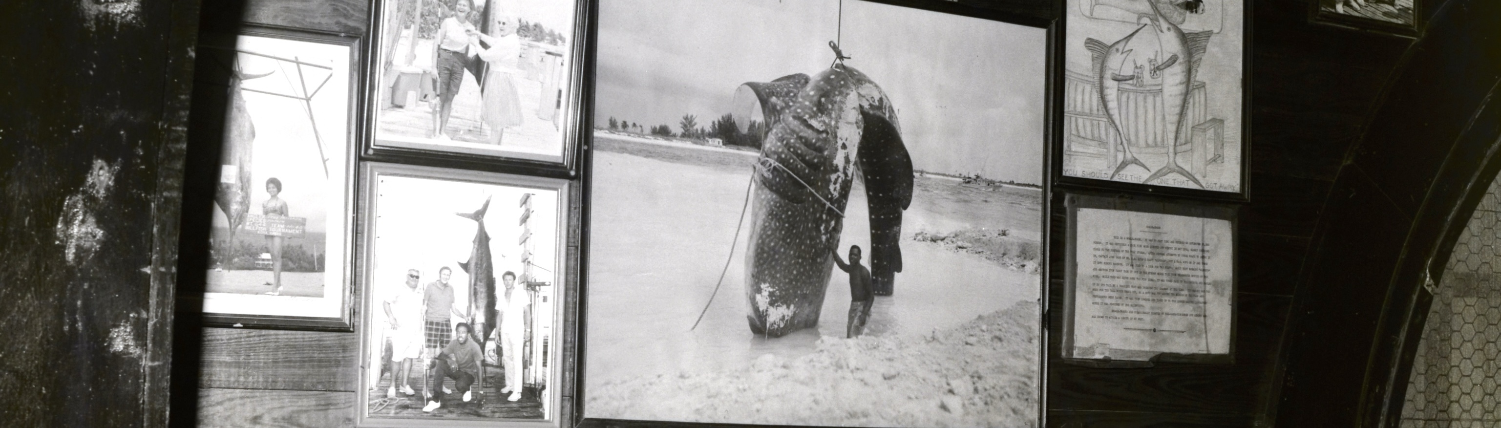 Florida Fishing History Collections