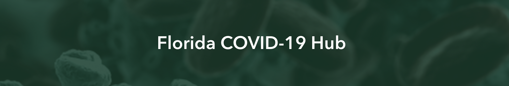 Florida COVID-19 Hub