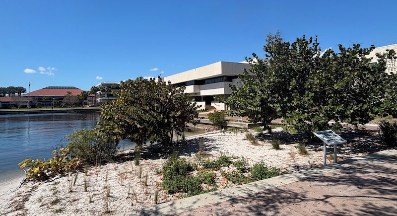 USF St. Petersburg Sustainability Archive