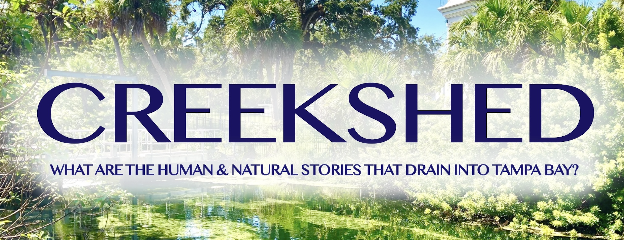 Creekshed: City Wilds
