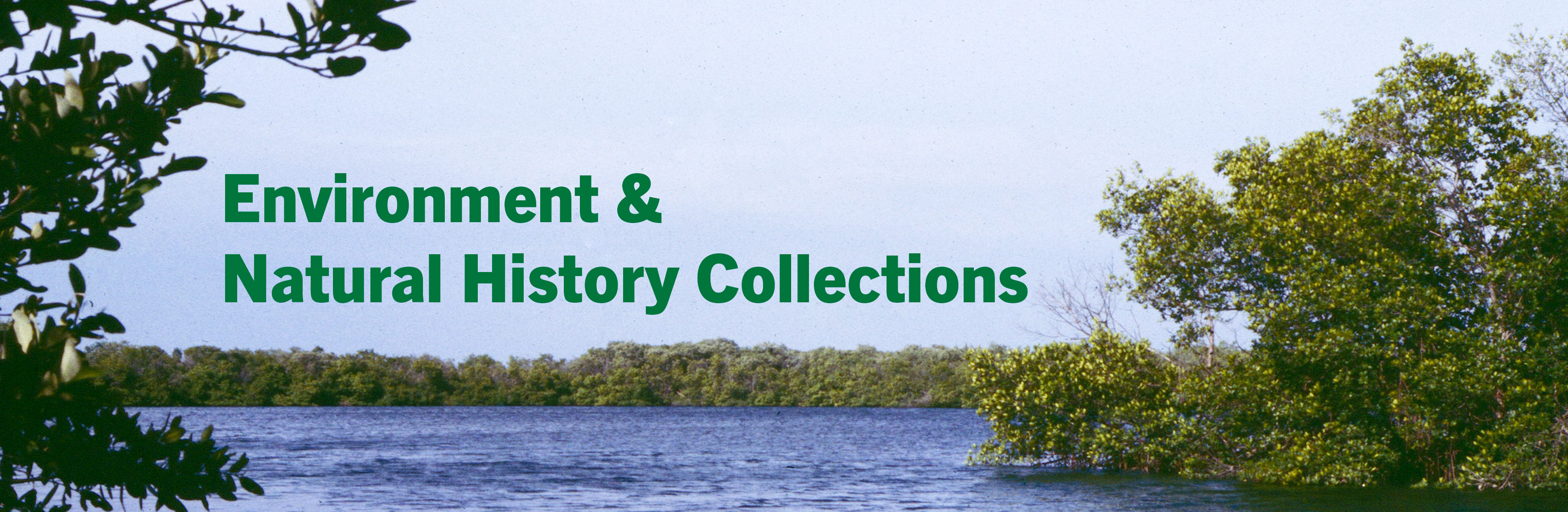 Environment and Natural History Publications