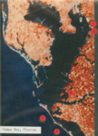 Vegetation Map of Tampa Bay by Richard T. Paul
