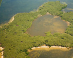 Aerial View of Bird Island, A by Unknown