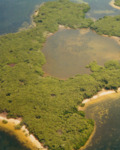 Aerial View of Bird Island, B by Unknown