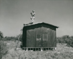 Tom Thompson and Fred Schultz at Alafia Banks, A by Unknown