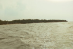Bird Island Sanctuary with National Audubon Society, A by Richard T. Paul