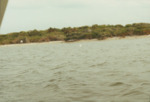 Bird Island Sanctuary with National Audubon Society, B by Richard T. Paul