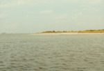 Bird Island Sanctuary with National Audubon Society, C by Richard T. Paul