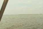 Tampa Skyline Seen From Bird Island, B by Richard T. Paul