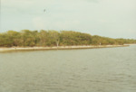 Bird Island Sanctuary with National Audubon Society, E by Richard T. Paul