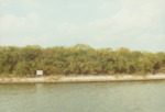 Bird Island Sanctuary with National Audubon Society, F by Richard T. Paul
