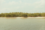 Bird Island Sanctuary with National Audubon Society, G by Richard T. Paul