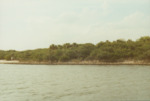 Bird Island Sanctuary with National Audubon Society, J by Richard T. Paul