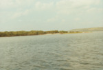 Bird Island Sanctuary with National Audubon Society, K by Richard T. Paul