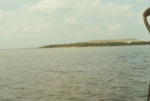 Bird Island Sanctuary with National Audubon Society, L by Richard T. Paul