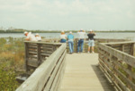 Guests Observing Shore Birds with National Audubon Society, A by Richard T. Paul