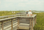 Guests Observing Shore Birds with National Audubon Society, B by Richard T. Paul