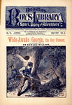 Wide-awake George, the boy pioneer, or, Life in a log cabin : incidents and adventures in the backwoods by Edward Willett