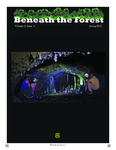 Beneath the Forest by Johanna L. Kovarik