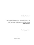Anatomy of the Tube Holothurians of the Orange Seastars and the Stone Sea-Urchins: A Translation of <em>Anatomie der Röhren-Holothurie des Pomeranzfarbigen Seesterns und Stein-Seeigels</em>