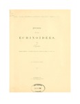 Studies on the Echinoidea: A translation of <em>Études sur les Échinoïdées</em>