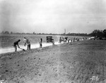 Convict laborers building a road in Temple Terrace, Florida by Burgert Brothers