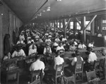 Cigar Makers Rolling Cigars at Cuesta Rey & Company by Burgert Brothers