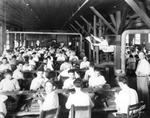 Cigar Makers and the Lector at Cuesta Rey and Company Factory by Burgert Brothers